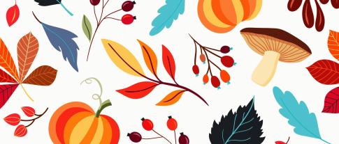 Planning ALSH vacances Toussaint